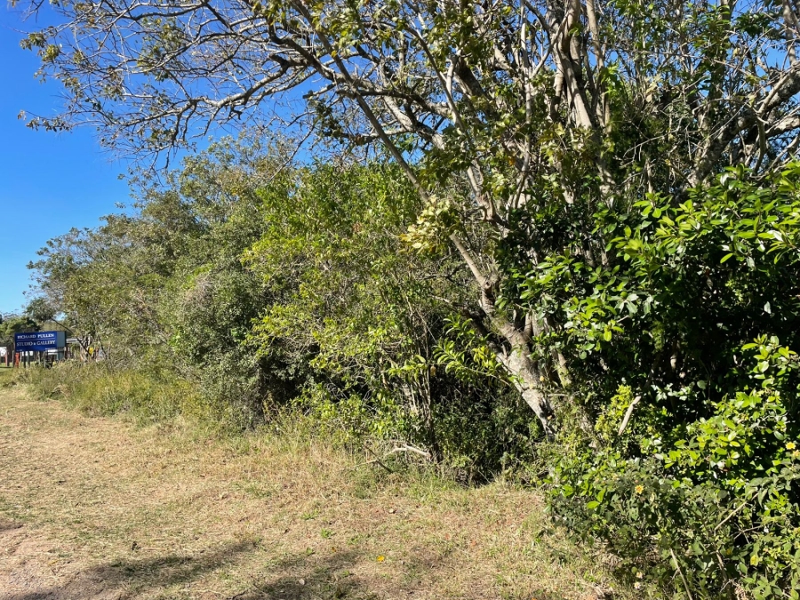 0 Bedroom Property for Sale in Bathurst Eastern Cape